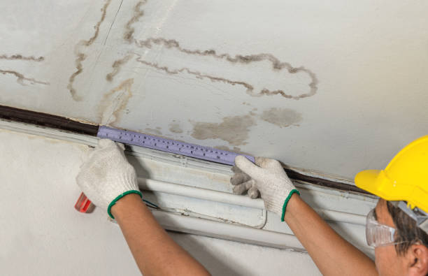 Reliable Water Damage contractor in Pullman, MI by Water Damage Irwin